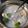 Chen CHEN 的 薑絲蚵仔湯 cooksnap