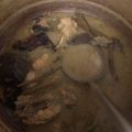 Cooksnap dari Devi ChaNia HoSen untuk resep Soto Ayam Santan