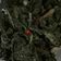 Cooksnap dari evy_r.dewi untuk resep Oseng daun singkong