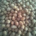Cooksnap dari Ibu Dhea Marsya 2 untuk resep Kacang telur pedas