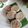 Cooksnap dari Yani Susilowati untuk resep Yangko Kelapa khas Magelang