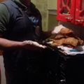 El cooksnap de Rodrigo Vera cuando hizo Empanadas de Jurel y Pimentones Rojos 🥟.