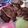 Jasper Mwenda's cooksnap of when they made Bbq goat ribs using dessini.