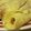 El cooksnap de Pjachu cuando hizo Panqueques.