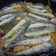 El cooksnap de Gabriel Arroyo cuando hizo Sardinas en escabeche.