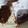 El cooksnap de Dayana cuando hizo Torta súper chocolate! 🍫.