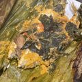 Cooksnap dari Elprida Agustina untuk resep Pepes Nila Kemangi