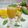 Bhumi Parikh's cooksnap of when they made મેંગો મિલ્ક શેક (Mango Milk Shake Recipe In Gujarati).
