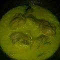 Cooksnap dari Windhari Dewi Handayani untuk resep Opor ayam sederhana