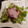 El cooksnap de Maggie Vivanco G cuando hizo Pulpo al olivo.