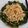 Cooksnap dari naomi ndobe untuk resep Tumis baby pokcoy dan daun kayu manis