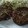 El cooksnap de Juli Cocina Saludable cuando hizo Hamburguesas de lentejas!! -Veganas.
