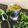 chef Nidhi Bole's cooksnap of when they made પંજાબી કઢી (Punjabi Kadhi Recipe In Gujarati).
