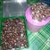Cooksnap dari Wiji Lestari untuk resep Brownies kering mini cup