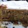 El cooksnap de Lau Rodríguez Maron cuando hizo Torta de zanahorias inglesa.