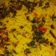 Neeta kamble का कुकस्नैप जब उन्होंने मिक्स दाल वेज खिचड़ी (mix daal veg Khichdi recipe in Hindi) बनाया था।
