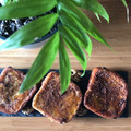 El cooksnap de Elisabeth Pastor Bernabeu cuando hizo Torrijas de naranja y chocolate.