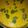 Poonam Saraswat's cooksnap of when they made Spinach Kadhi...with pakoda.