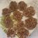 El cooksnap de Ana Belén cuando hizo Galletas o Cookies realfooder con 4 ingredientes.
