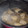 El cooksnap de Maka Sfc cuando hizo Pollo con vino blanco y champiñones rápida.
