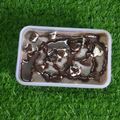 Dr. Pushpa Dixit's cooksnap of when they made કૂકીઝ અને ક્રીમ આઇસક્રીમ (Cookies Cream Icecream Recipe In Gujarati).