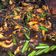 Cooksnap Dapur Yusfarisyia semasa beliau membuat Sotong kembang masak kicap pedas.