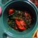Cooksnap dari Rossalia Agata Sari untuk resep Cah kangkung ala resto