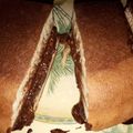 Cooksnap dari Dewiledy Mamaoza untuk resep Martabak Manis Keto