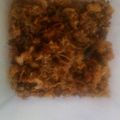Cooksnap dari a u l untuk resep Abon ayam gurih