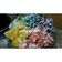 Cooksnap dari Chacha Syafitri untuk resep Sate singkong rainbow