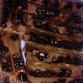 Cooksnap dari Andi Ayu Ariska Wisda untuk resep Brownies Pisang Coklat Lumer Kukus