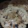 Dhruvi Jethava's cooksnap of when they made ભાખરી (Bhakhri Recipe In Gujarati).