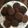 Cooksnap của bepxinh khi họ làm theo món Bánh quy cacao siêu dễ làm