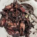 Cooksnap dari Nuryani Usdek untuk resep Oseng-oseng Cumi Hitam