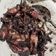 Cooksnap dari Nuryani Usdek untuk resep Oseng-oseng Cumi Hitam