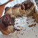 El cooksnap de Victoria Santibañez cuando hizo Rolls de Canela integral.