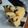 Cooksnap dari Dapoer Mamsya untuk resep Brownis singkong