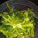 Cooksnap dari Artic Pri untuk resep Tumis kangkung