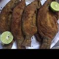 صورة من شوشو 👩🏻‍🍳💞، شاركها بعد تجربة وصفة سمك مقلي