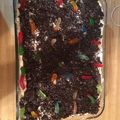 Christine McDougal Brown's cooksnap of when they made Dirt Cake.