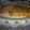El cooksnap de Geraytere Monti cuando hizo Tarta de atún.