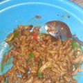 Cooksnap dari siti agustini untuk resep Usus kecap