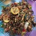 Cooksnap dari Imas Robiah Adawiah untuk resep Tongkol Suwir