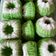 Cooksnap dari Agustina Waode untuk resep Putu Ayu Lembut