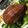 酒淺意深 的 Meiling。。酒香東坡肉 cooksnap