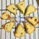 Cooksnap dari Priscilla Agnes Lamidja untuk resep Cheese Scone - Frozen bread