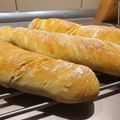Palotás Sándor Cooksnap-ja, amikor elkészítette a(z) Kedvenc gyökérkenyerünk (tej- és tojásmentes recept!) receptet.