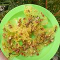 Cooksnap dari sasa cute8 untuk resep Peyek Kacang Renyah tanpa santan