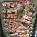 El cooksnap de Xavier Arfelis cuando hizo Salmonetes al horno.