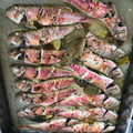 El cooksnap de Xavier Arfelis cuando hizo Salmonetes al horno.